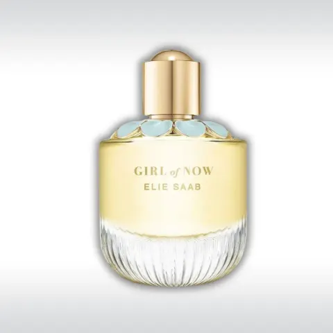 عطر ايلي صعب جيرل اوف ناو للنساء 90 مل – Elie Saab girl of now